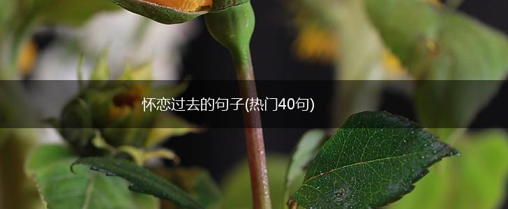 怀恋过去的句子(热门40句),第1张