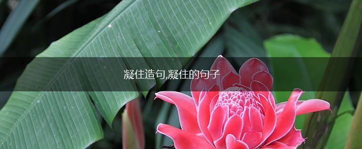 凝住造句,凝住的句子,第1张 凝住造句,凝住的句子,第1张