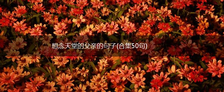 想念天堂的父亲的句子(合集50句),第1张