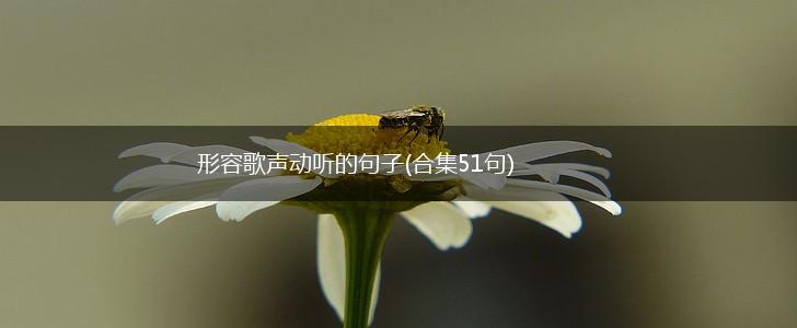 形容歌声动听的句子(合集51句),第1张