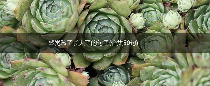 感觉孩子长大了的句子(合集50句),第1张
