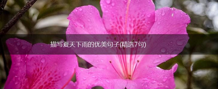 描写夏天下雨的优美句子(精选7句),第1张