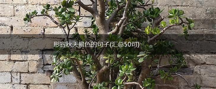 形容秋天景色的句子(汇总50句),第1张