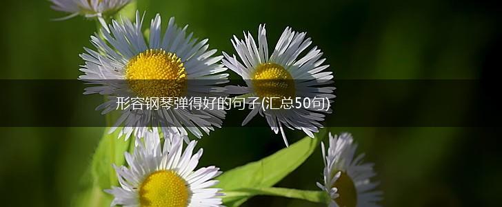 形容钢琴弹得好的句子(汇总50句),第1张