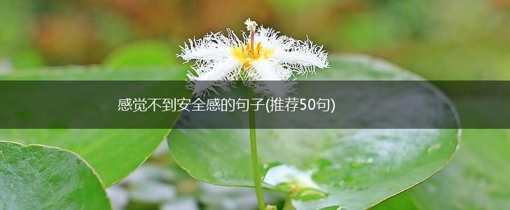 感觉不到安全感的句子(推荐50句),第1张