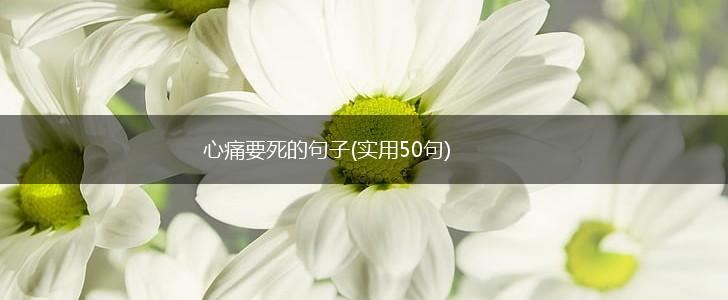 心痛要死的句子(实用50句),第1张
