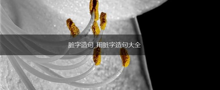 脏字造句_用脏字造句大全,第1张 脏字造句_用脏字造句大全,第1张
