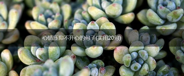 心情压抑不开心的句子(实用20句),第1张
