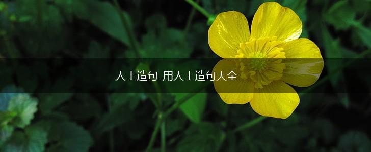 人士造句_用人士造句大全,第1张 人士造句_用人士造句大全,第1张