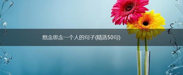 想念思念一个人的句子(精选50句),第1张