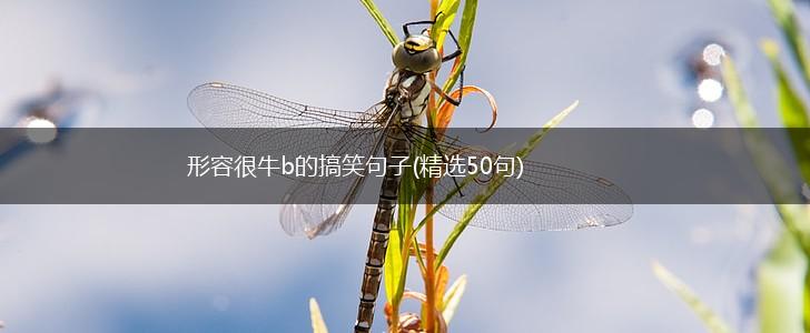 形容很牛b的搞笑句子(精选50句),第1张