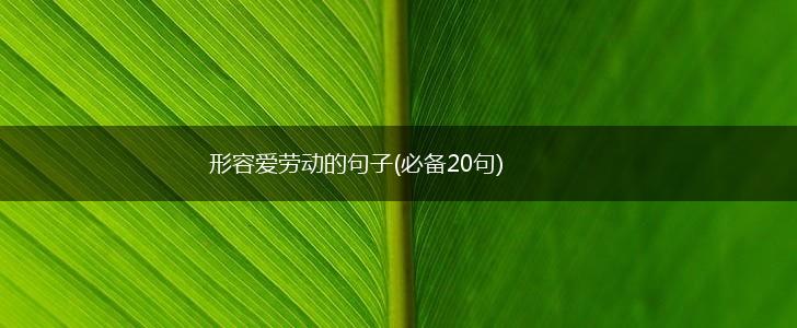 形容爱劳动的句子(必备20句),第1张