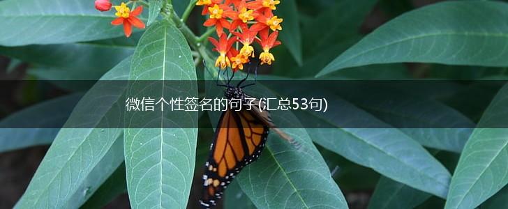微信个性签名的句子(汇总53句),第1张