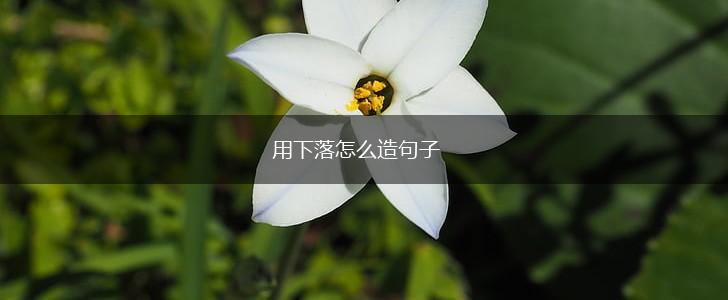 用下落怎么造句子,第1张 用下落怎么造句子,第1张