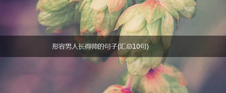 形容男人长得帅的句子(汇总10句),第1张