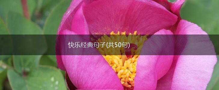 快乐经典句子(共50句),第1张