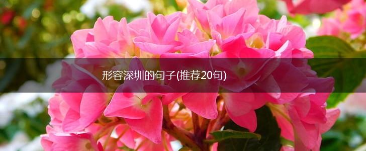 形容深圳的句子(推荐20句),第1张