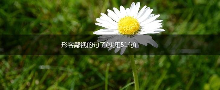 形容鄙视的句子(实用51句),第1张
