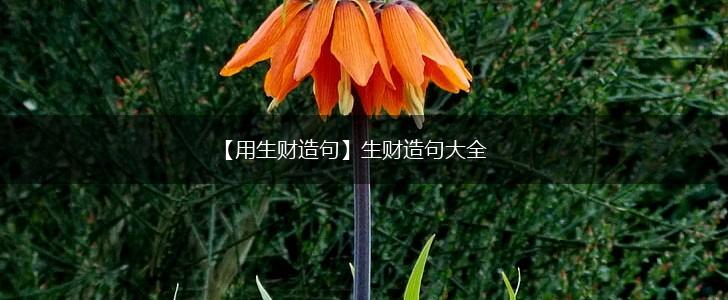 【用生财造句】生财造句大全,第1张 【用生财造句】生财造句大全,第1张