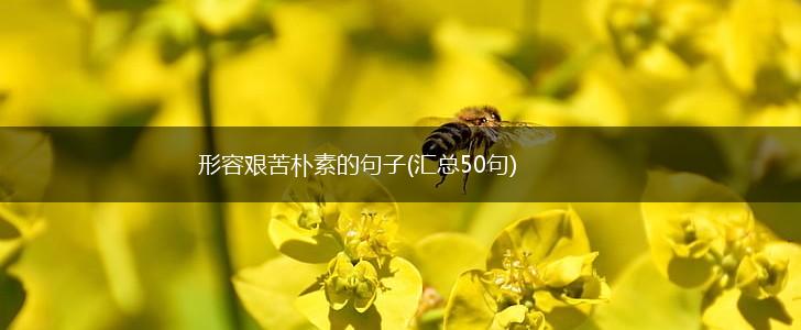 形容艰苦朴素的句子(汇总50句),第1张