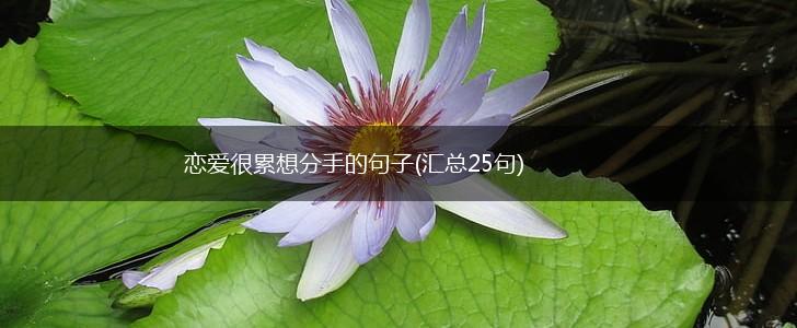 恋爱很累想分手的句子(汇总25句),第1张