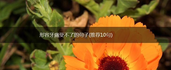形容牙痛受不了的句子(推荐10句),第1张