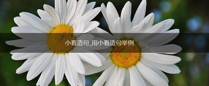 小看造句_用小看造句举例,第1张 小看造句_用小看造句举例,第1张