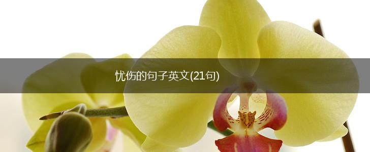 忧伤的句子英文(21句),第1张