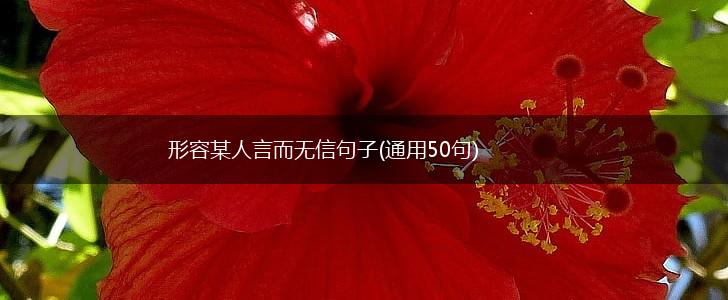 形容某人言而无信句子(通用50句),第1张
