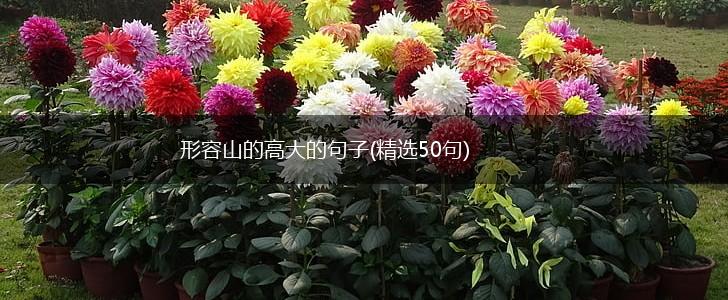形容山的高大的句子(精选50句),第1张