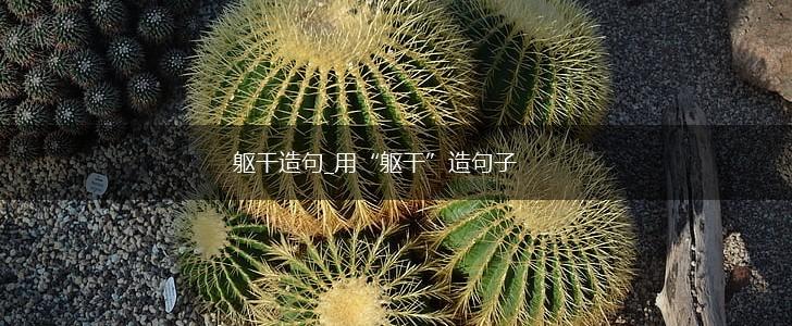 躯干造句_用“躯干”造句子,第1张 躯干造句_用“躯干”造句子,第1张