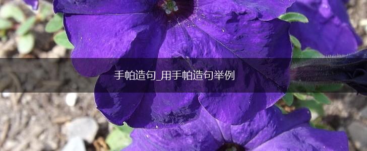 手帕造句_用手帕造句举例,第1张 手帕造句_用手帕造句举例,第1张