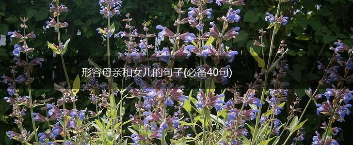 形容母亲和女儿的句子(必备40句),第1张