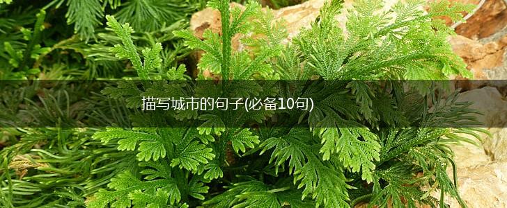 描写城市的句子(必备10句),第1张