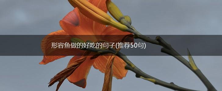 形容鱼做的好吃的句子(推荐50句),第1张