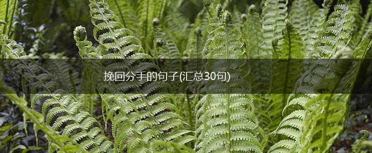 挽回分手的句子(汇总30句),第1张