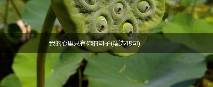 我的心里只有你的句子(精选48句),第1张