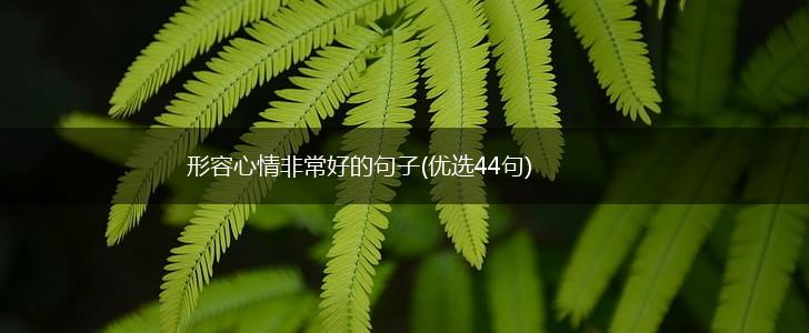 形容心情非常好的句子(优选44句),第1张
