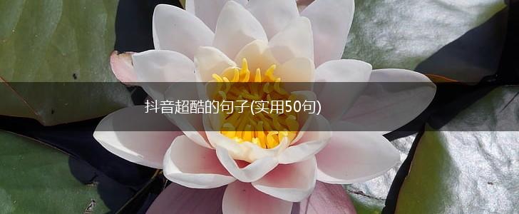 抖音超酷的句子(实用50句),第1张