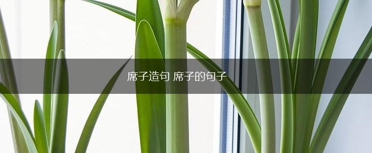 席子造句 席子的句子,第1张 席子造句 席子的句子,第1张