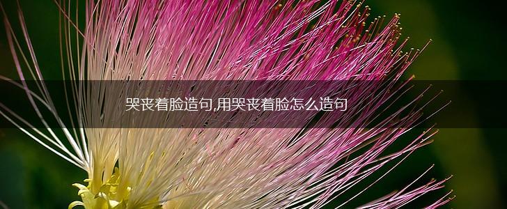 哭丧着脸造句,用哭丧着脸怎么造句,第1张 哭丧着脸造句,用哭丧着脸怎么造句,第1张
