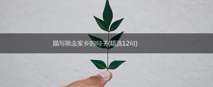 描写思念家乡的句子(精选12句),第1张