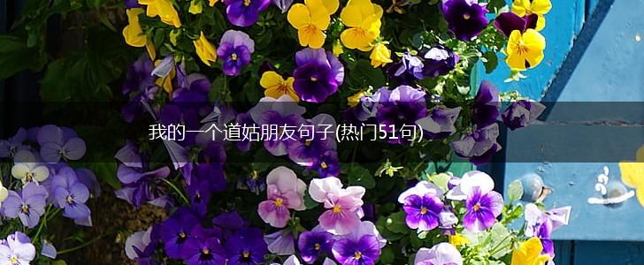 我的一个道姑朋友句子(热门51句),第1张