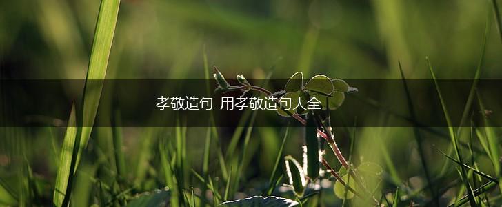 孝敬造句_用孝敬造句大全,第1张