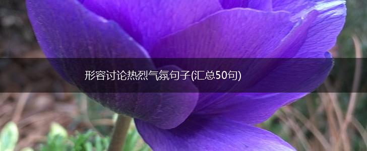 形容讨论热烈气氛句子(汇总50句),第1张
