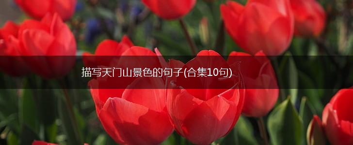 描写天门山景色的句子(合集10句),第1张