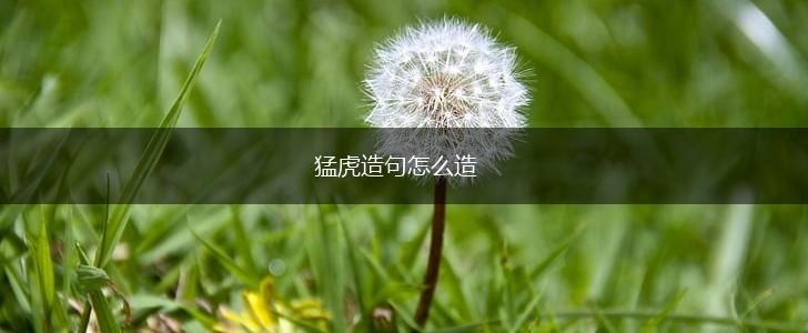 猛虎造句怎么造,第1张 猛虎造句怎么造,第1张