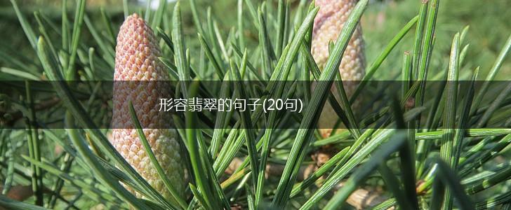 形容翡翠的句子(20句),第1张