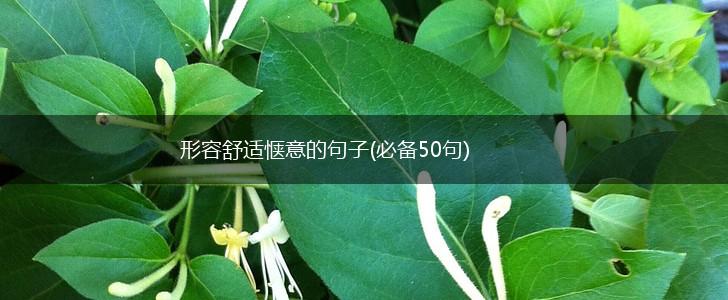 形容舒适惬意的句子(必备50句),第1张
