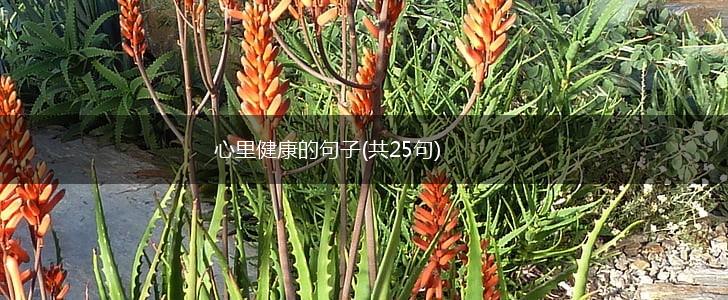 心里健康的句子(共25句),第1张